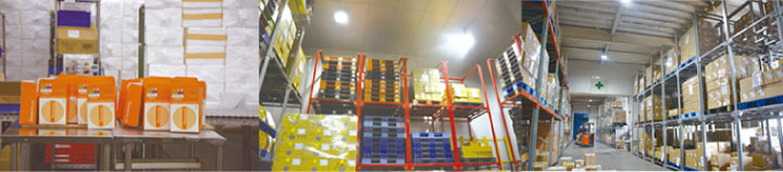 左から通販商品の発送作業場（ここで商品の梱包や出荷伝票の貼付けが行われる）と冷凍倉庫と常温倉庫